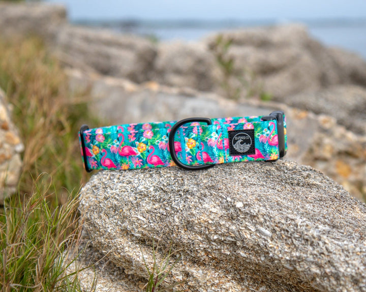 Flamingo Summer Dog Collar | SeaFlower Co