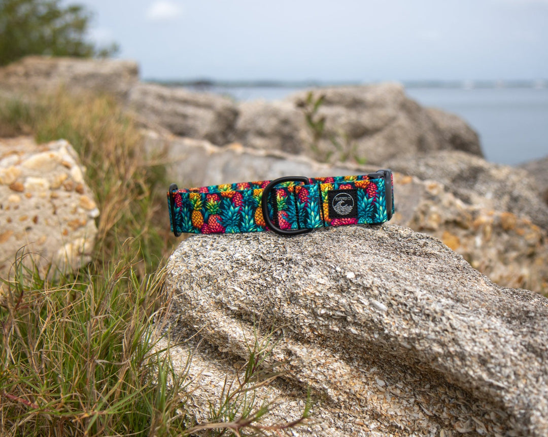 Summer Pineapples Durable Pet Collar | SeaFlower Co