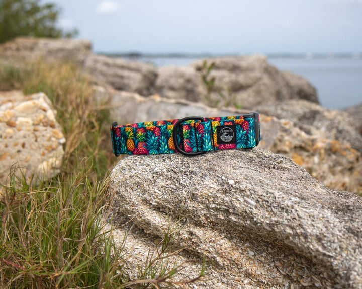 Summer Pineapples Durable Pet Collar | SeaFlower Co