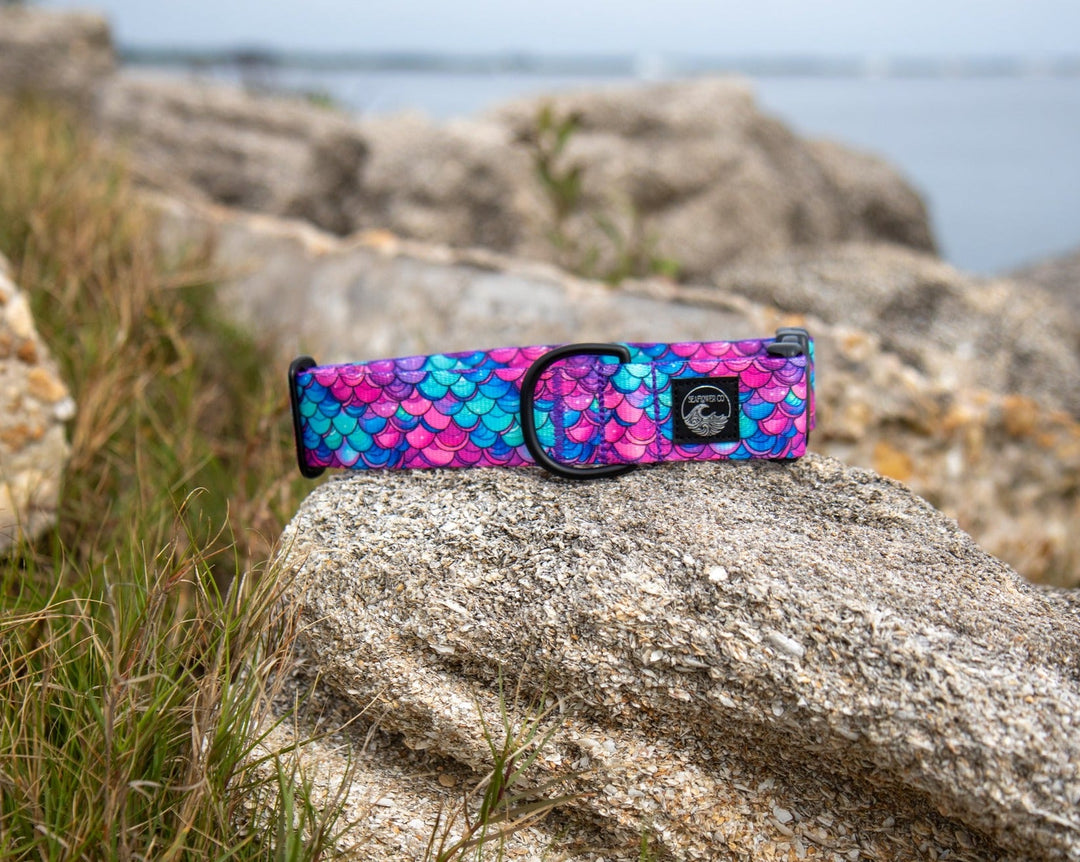Mermaid Scales Dog Collar | Stylish & Durable Pet Wear