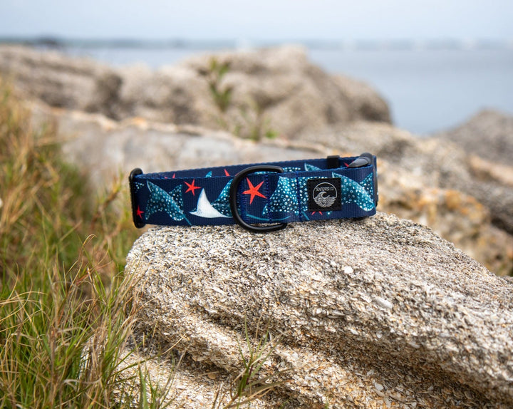 Spotted Eagle Ray Pet Collar | Stylish & Durable Dog Gear