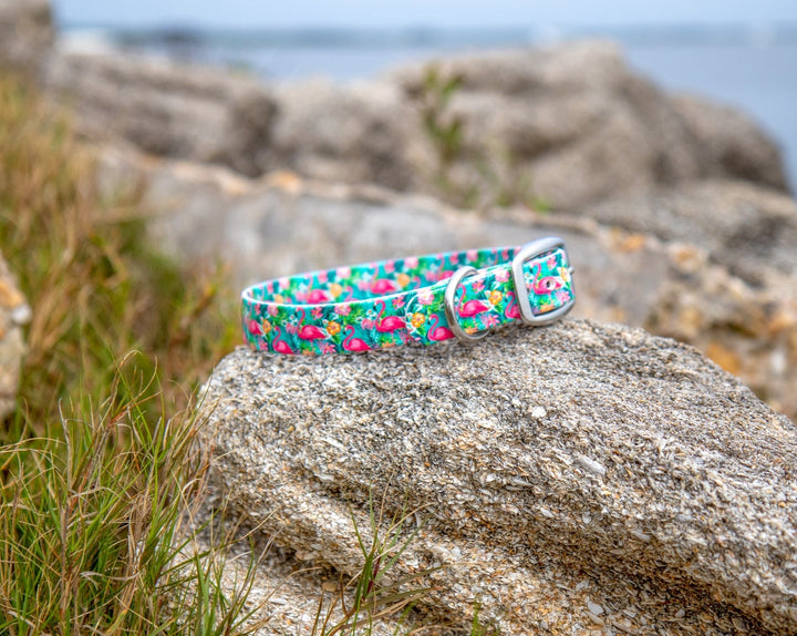 Tropical Flamingo Waterproof Dog Collar | SeaFlower Co