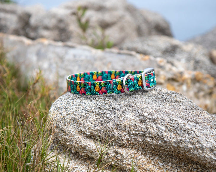 Pineapple BioThane® Dog Collar | Waterproof Pet Gear