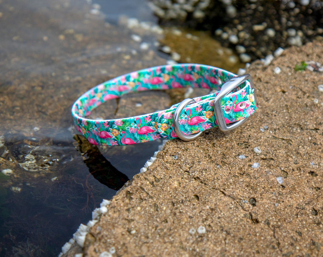 Tropical Flamingo Waterproof Dog Collar | SeaFlower Co