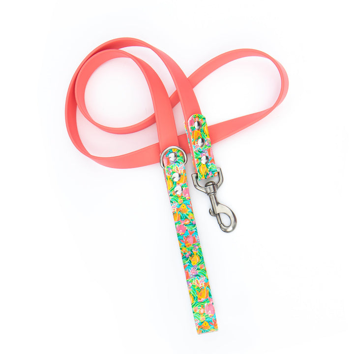 Tropical Fish BioThane® Leash