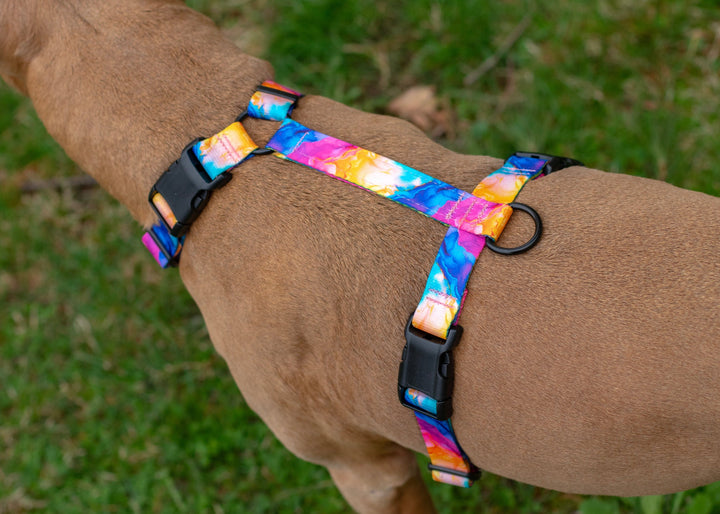 Adjustable Dog Harness | SeaFlower Co