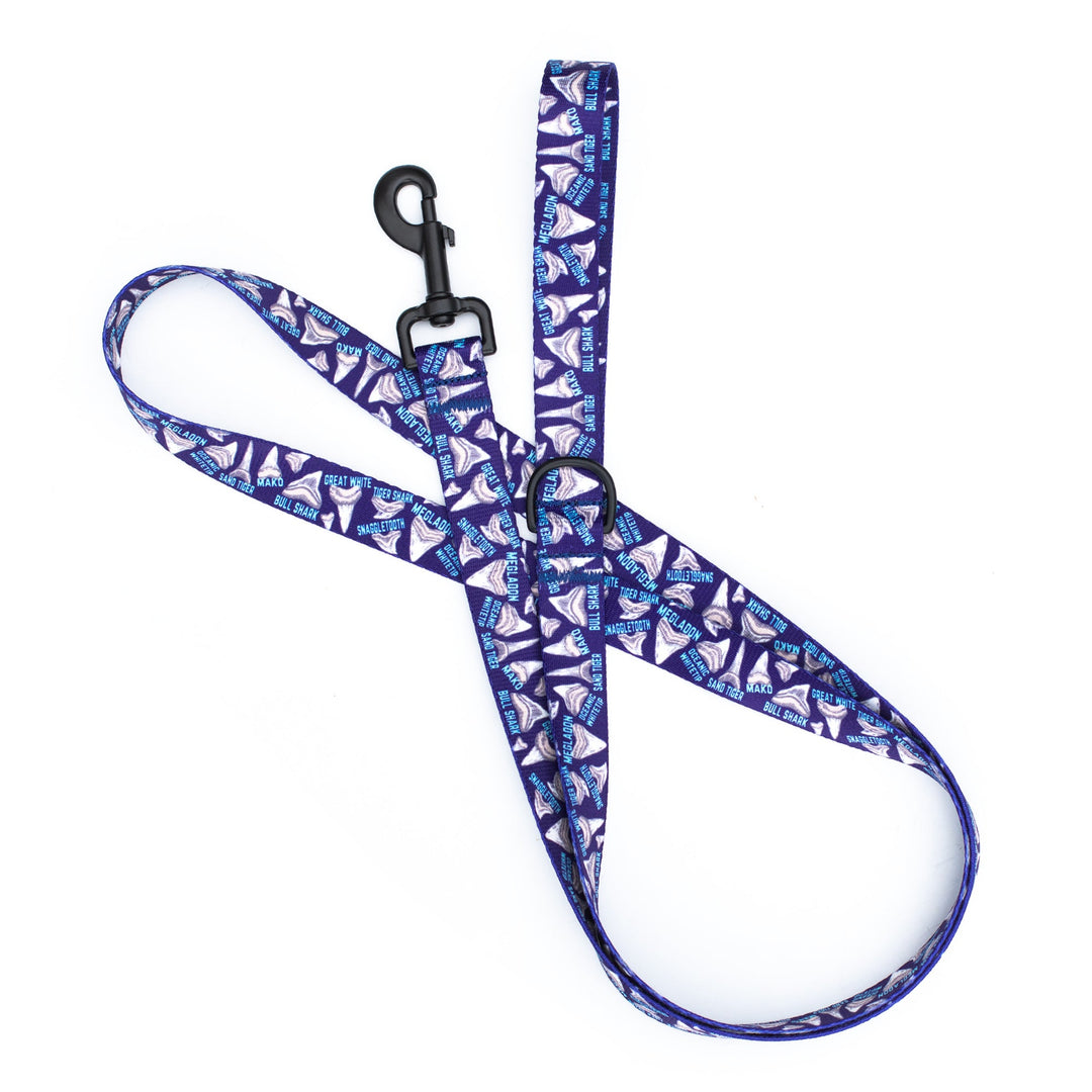 Shark Teeth Dog Collar | SeaFlower Co