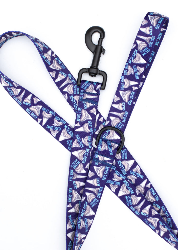 Shark Teeth Dog Collar | SeaFlower Co