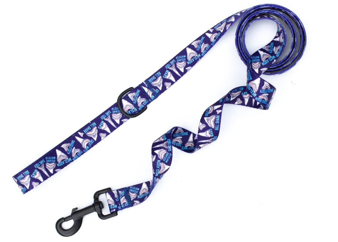 Shark Teeth Dog Collar | SeaFlower Co