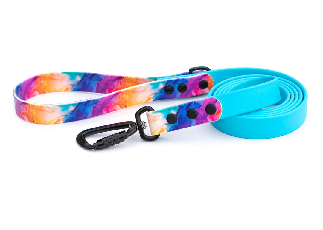 Rainbow Abstract BioThane® Dog Leash | SeaFlower Co