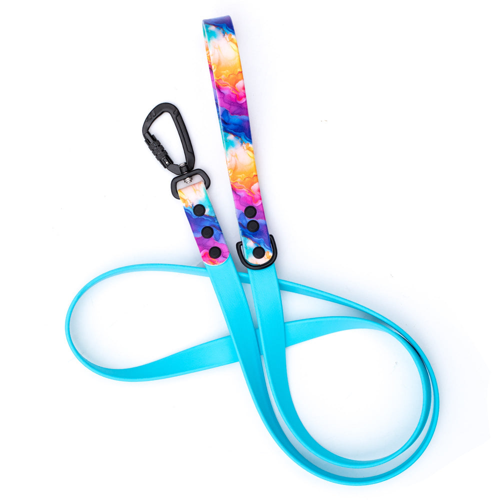 Rainbow Abstract BioThane® Dog Leash | SeaFlower Co