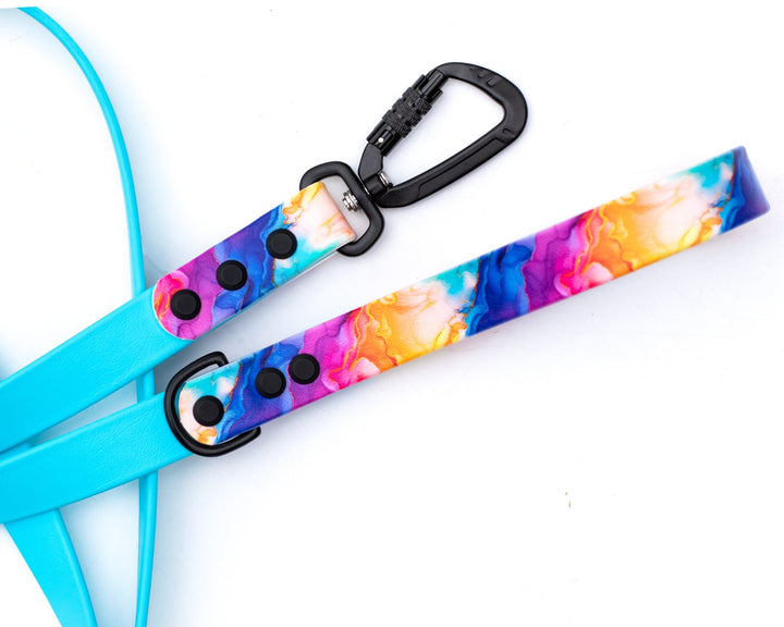 Rainbow Abstract BioThane® Dog Leash | SeaFlower Co