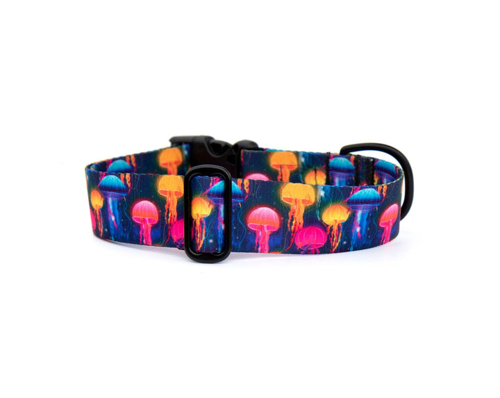 Moon Jellyfish Dog Collar