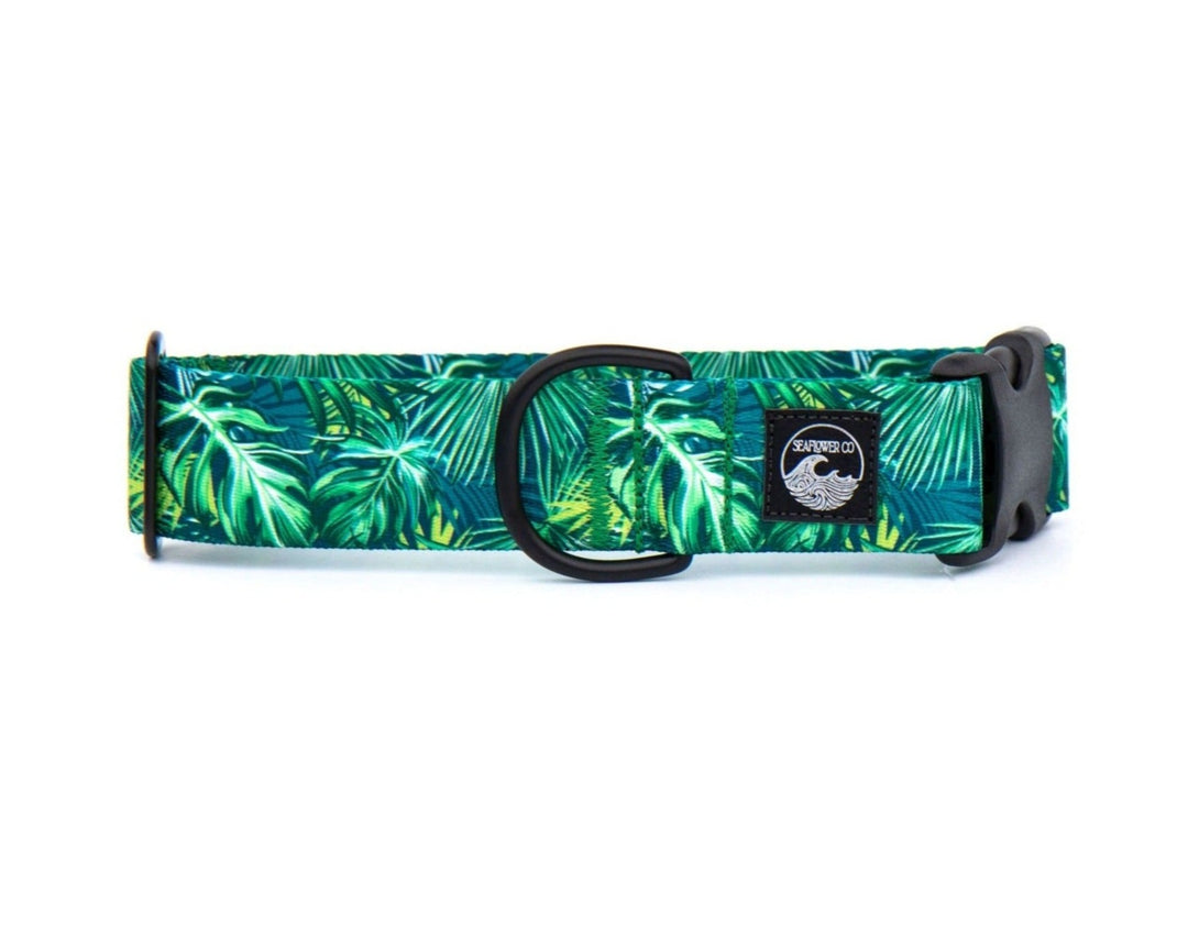 tropical leaves dog collar