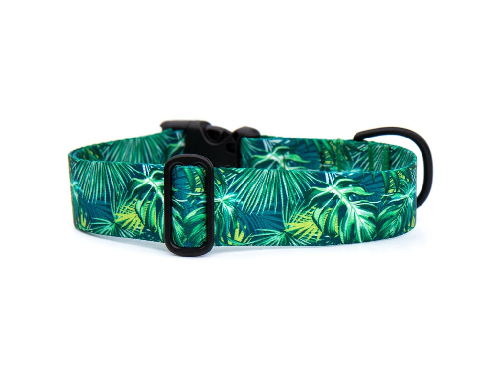 tropical leaves dog collar
