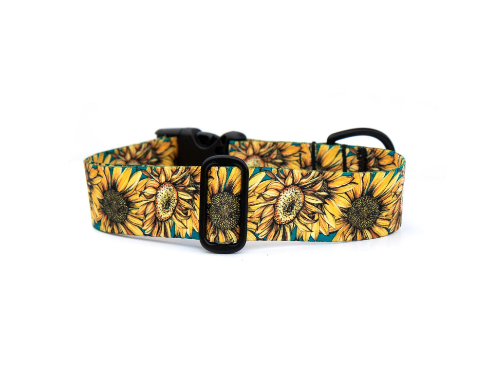 Sunflower Dog Collar | SeaFlower Co