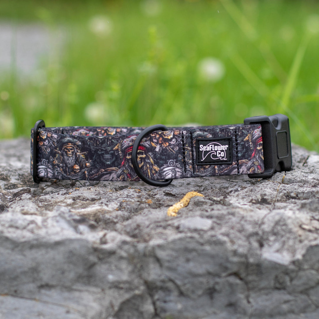 Pirates Dog Collar | SeaFlower Co