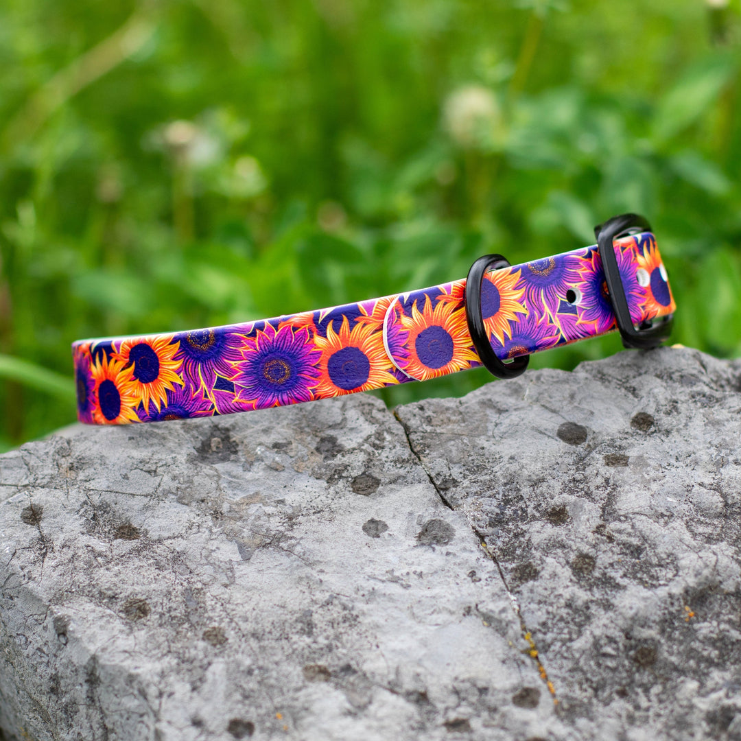 Sunflower UV Printed BioThane® Collar | Waterproof Dog Gear | SeaFlower Co