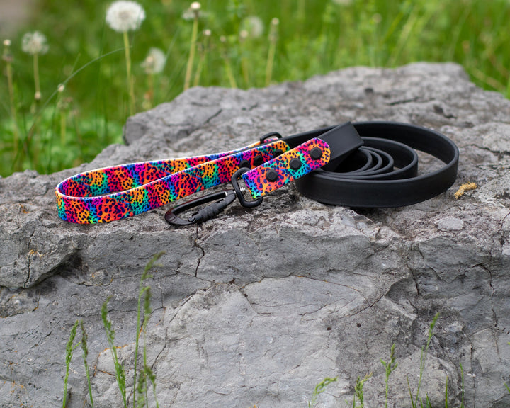Rainbow Leopard UV printed BioThane® Dog Leash | Waterproof Dog Gear | SeaFlower Co