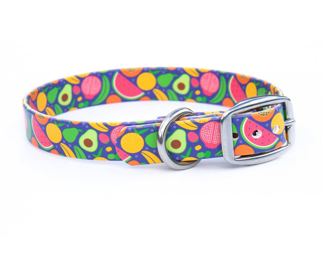 Tropical Fruit BioThane® Dog Collar | SeaFlower Co