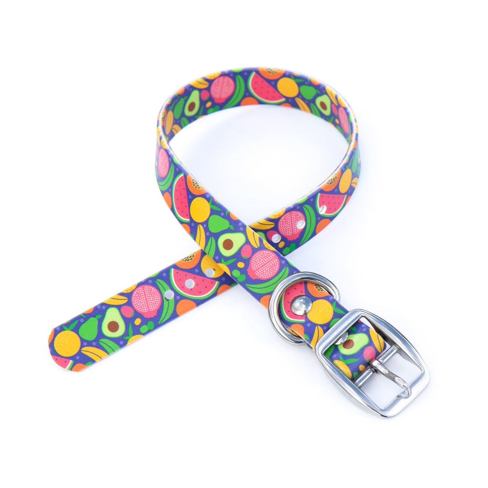 Tropical Fruit BioThane® Dog Collar | SeaFlower Co