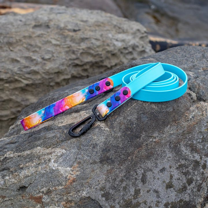 Rainbow Abstract BioThane® Dog Leash | SeaFlower Co