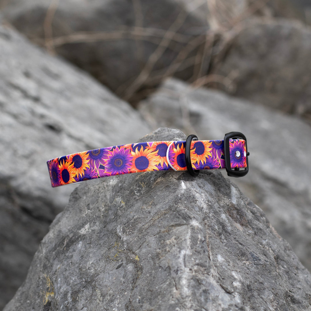 Sunflower UV Printed BioThane® Collar | Waterproof Dog Gear | SeaFlower Co