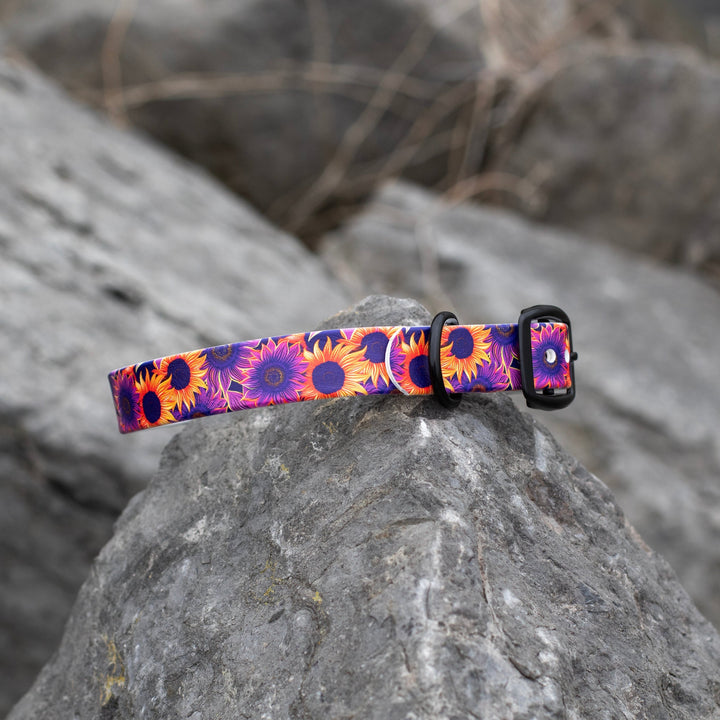 Sunflower UV Printed BioThane® Collar | Waterproof Dog Gear | SeaFlower Co