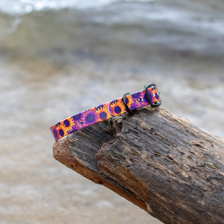 Sunflower UV Printed BioThane® Collar | Waterproof Dog Gear | SeaFlower Co
