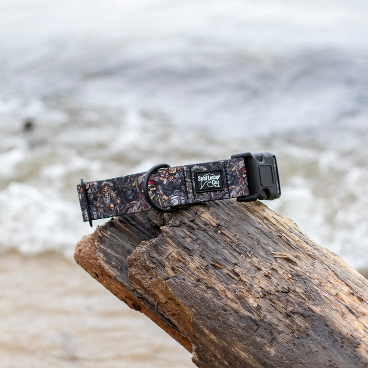 Pirates Dog Collar | SeaFlower Co