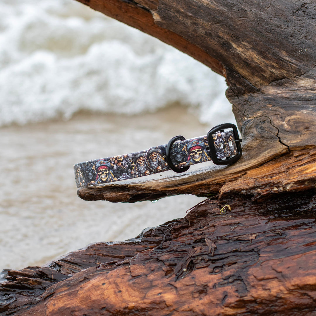Pirates BioThane Dog Collar | SeaFlower Co