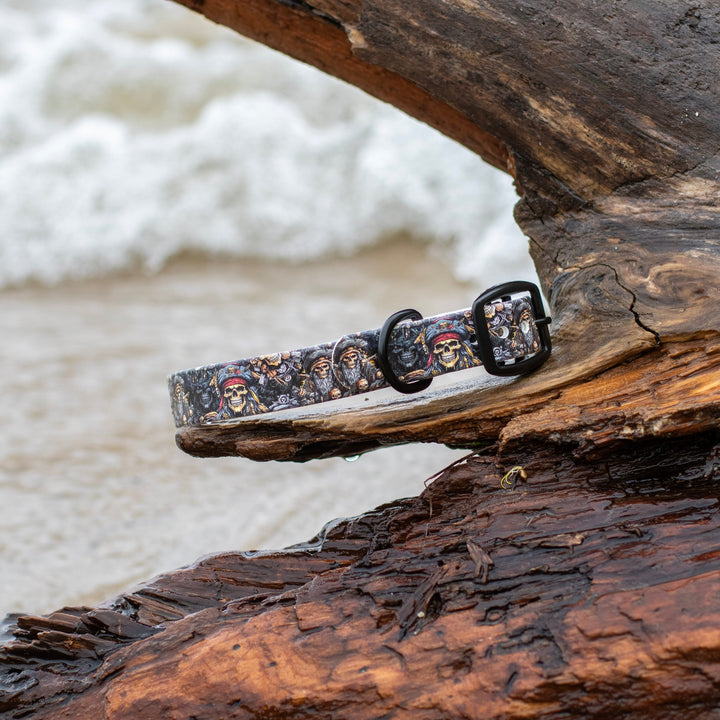 Pirates BioThane Dog Collar | SeaFlower Co