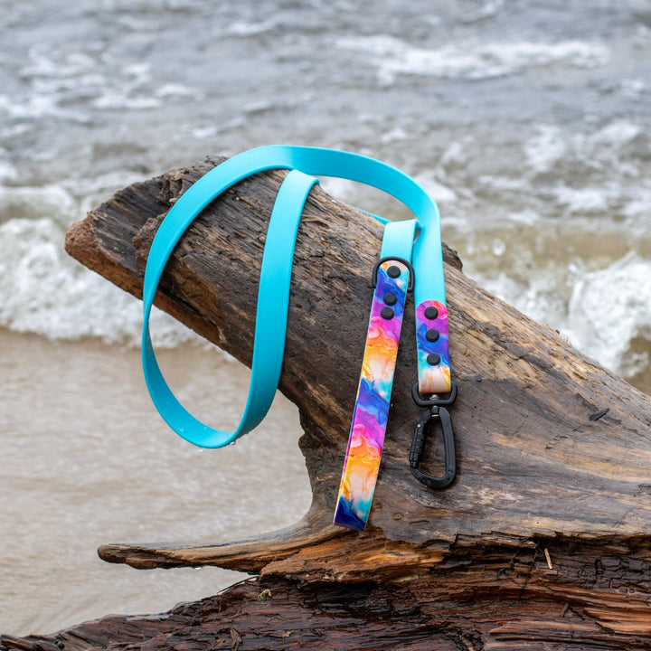 Rainbow Abstract BioThane® Dog Leash | SeaFlower Co