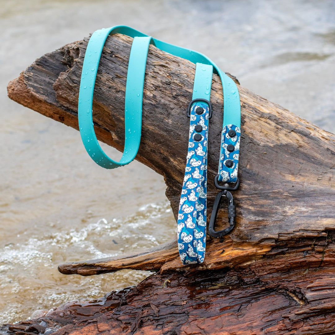 Cute Seals UV printed BioThane® Dog Leash | Waterproof Dog Gear | SeaFlower Co