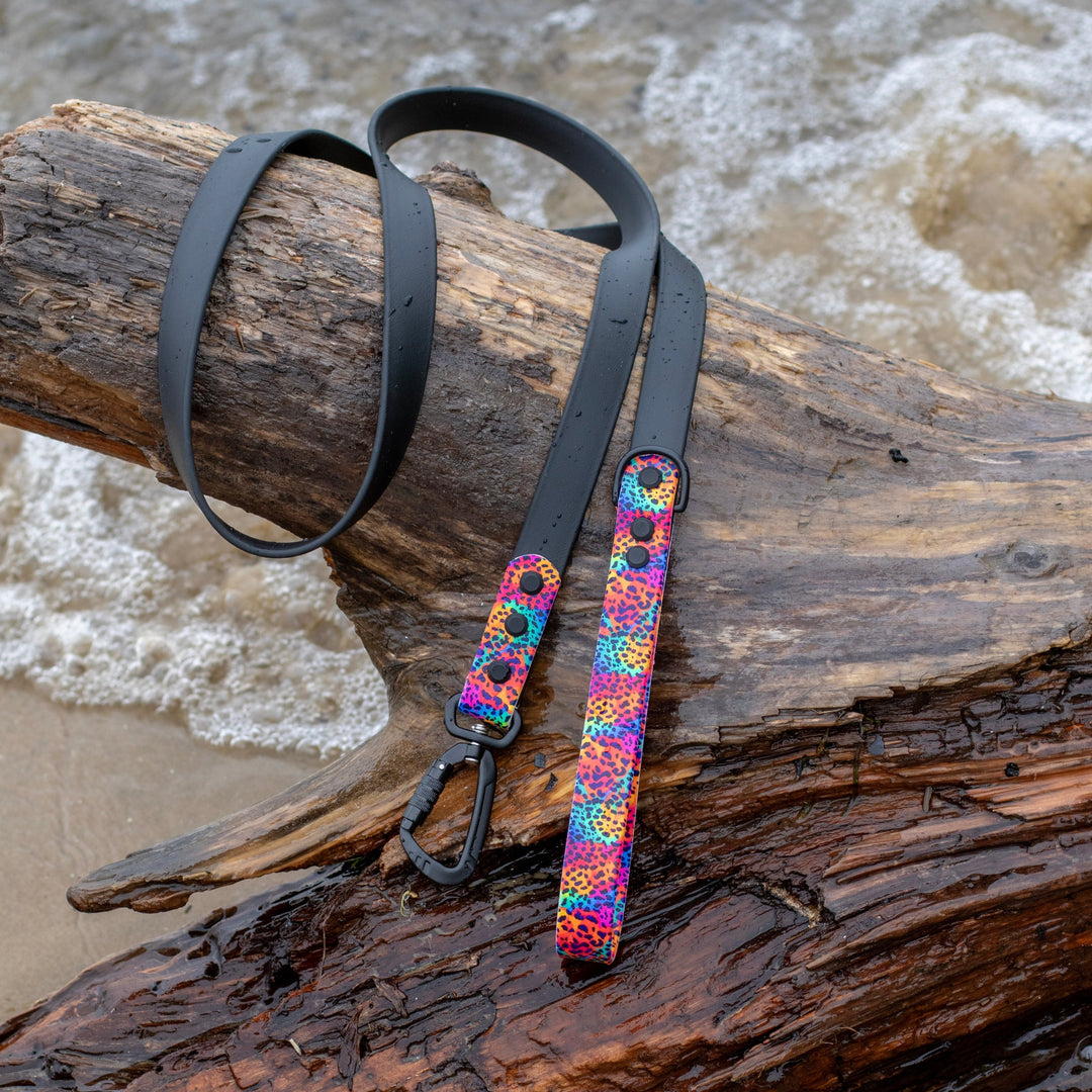 Rainbow Leopard BioThane® Leash