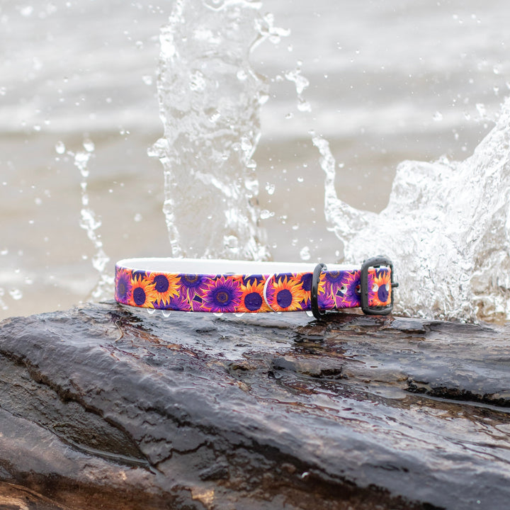 Sunflower UV Printed BioThane® Collar | Waterproof Dog Gear | SeaFlower Co
