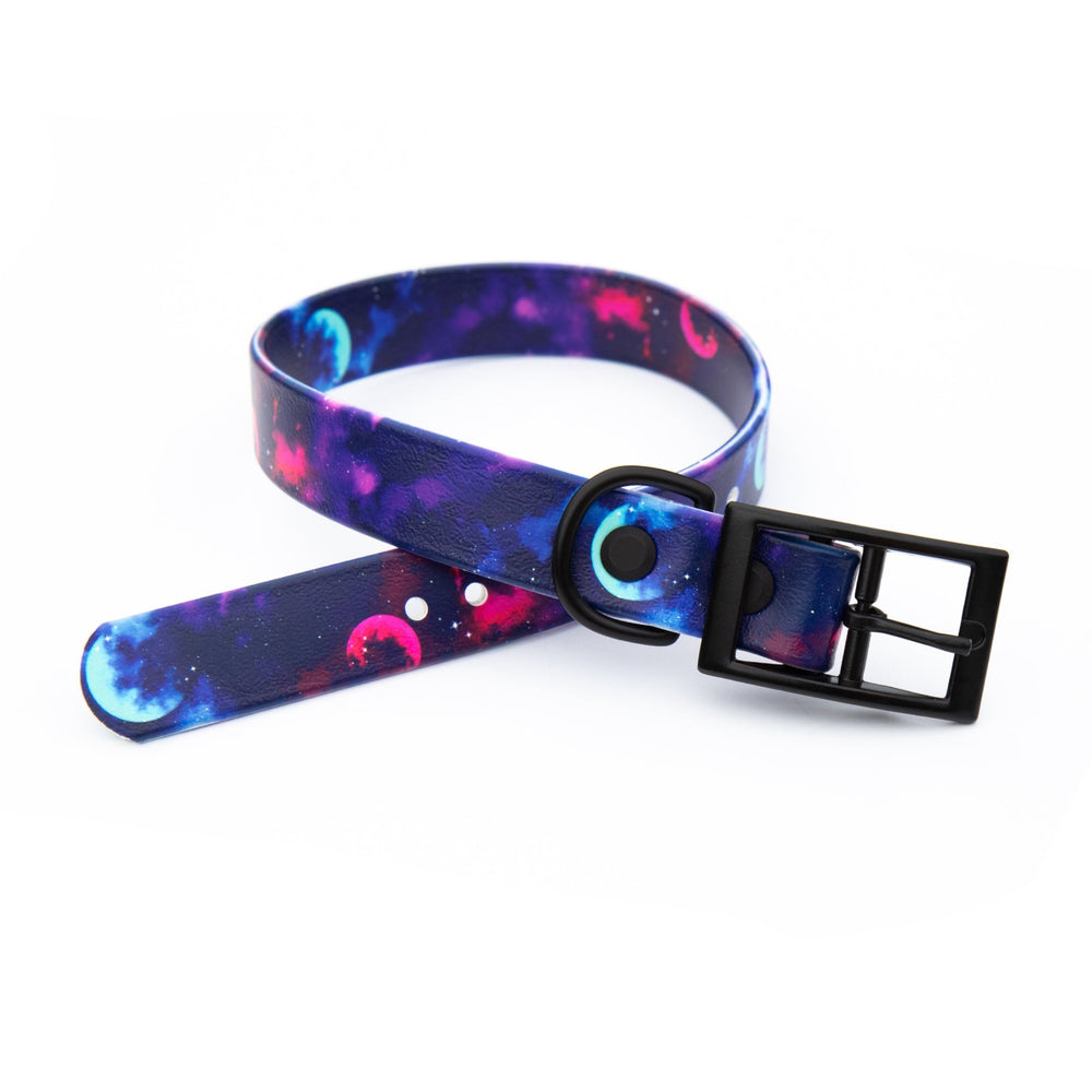 Galaxy BioThane® Collar | SeaFlower Co