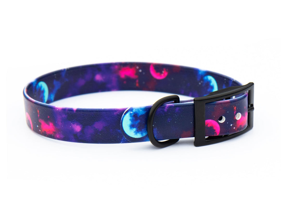 Galaxy BioThane® Collar | SeaFlower Co