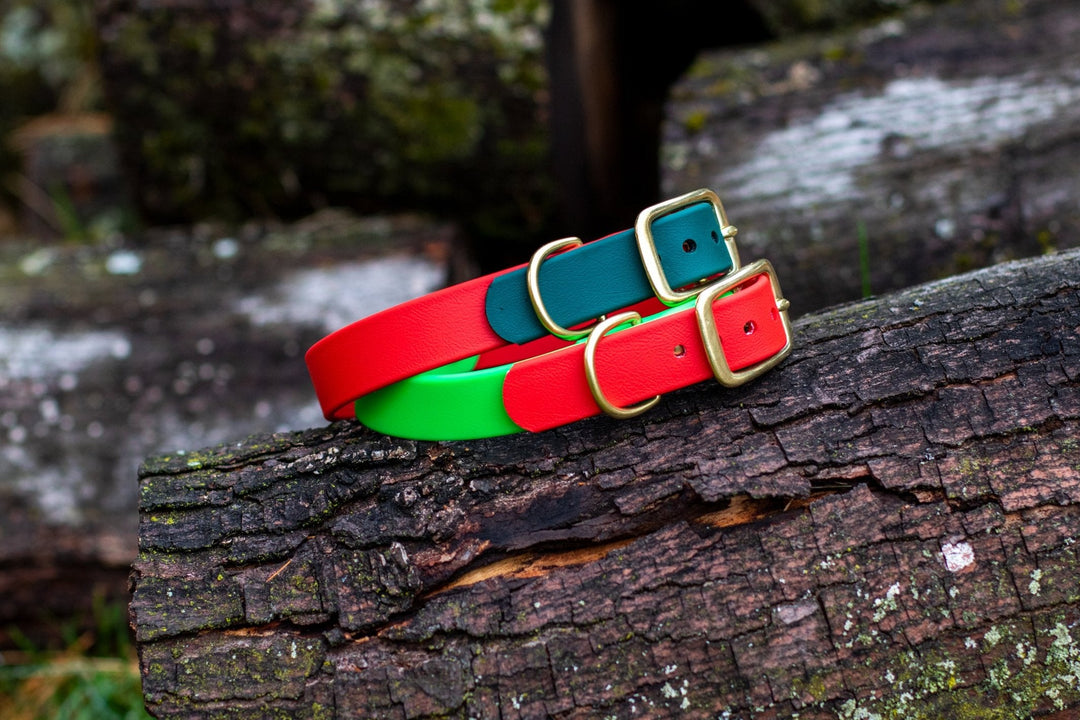 Christmas BioThane® Collars | SeaFlower Co