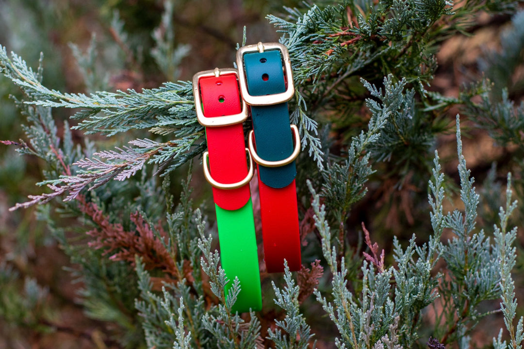 Christmas BioThane® Collars | SeaFlower Co