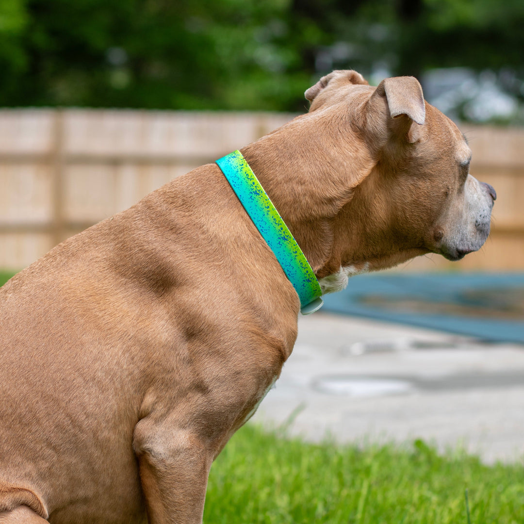 Mahi BioThane Dog Collar | Waterproof Dog Gear