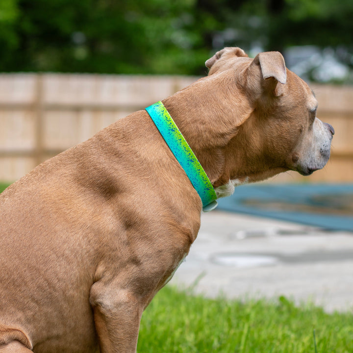 Mahi BioThane Dog Collar | Waterproof Dog Gear