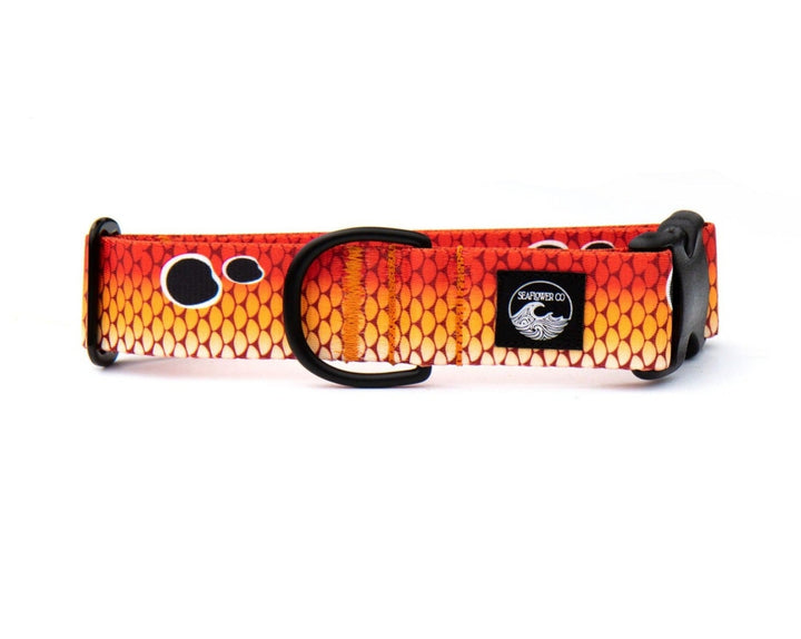 Redfish Scales Dog Collar | SeaFlower Co