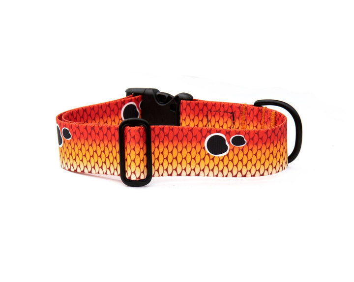 Redfish Scales Dog Collar | SeaFlower Co