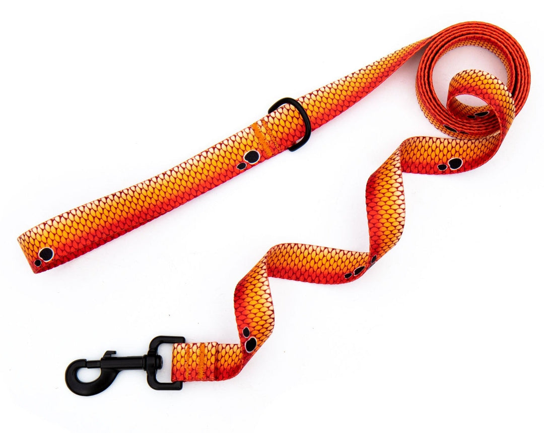 Redfish Scales Dog Leash | SeaFlower Co