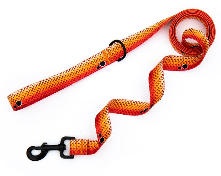 Redfish Scales Dog Leash | SeaFlower Co