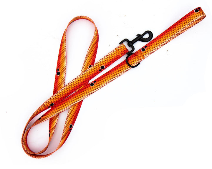 Redfish Scales Dog Leash | SeaFlower Co