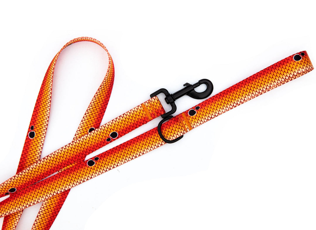 Redfish Scales Dog Leash | SeaFlower Co