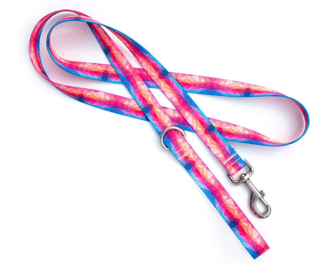 Vibrant Abstract Dog Leash | SeaFlower Co