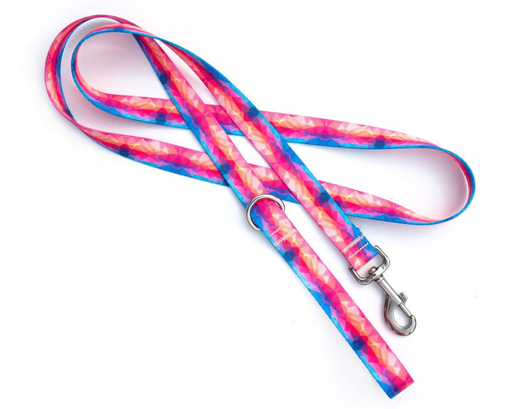 Vibrant Abstract Dog Leash | SeaFlower Co